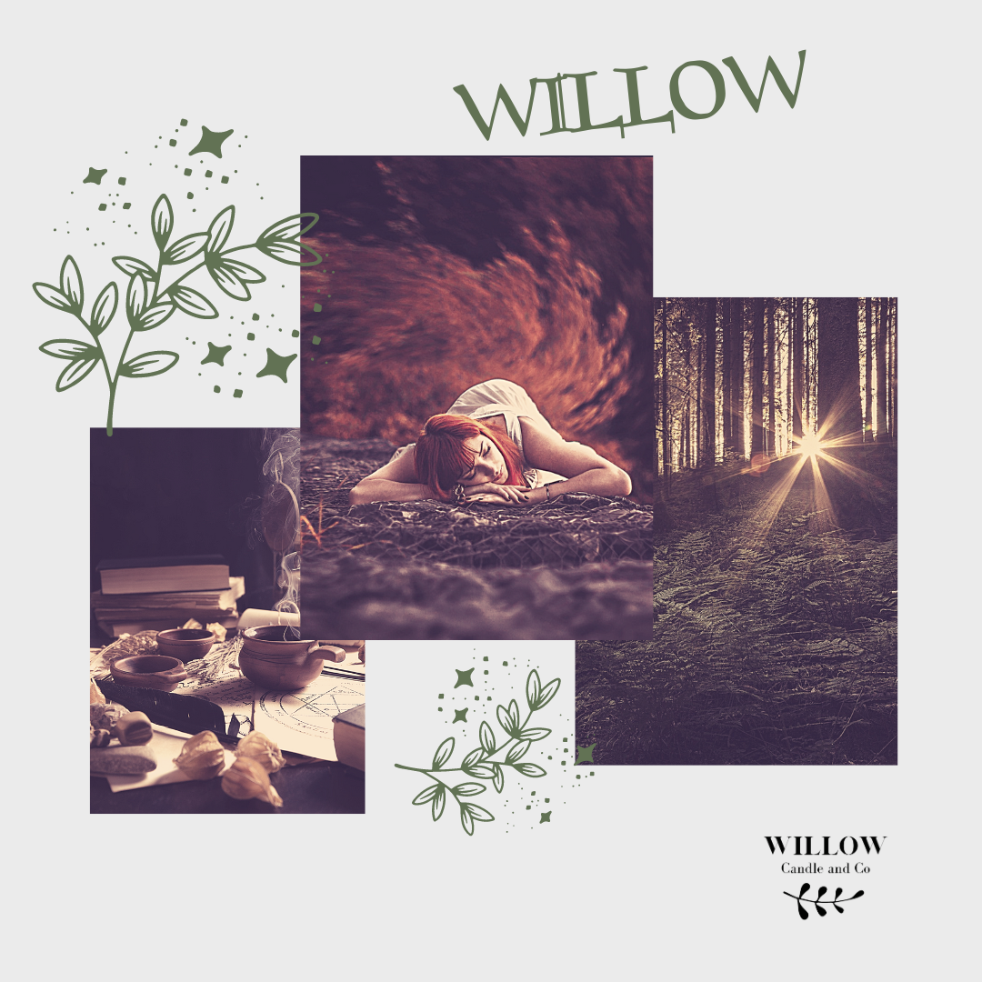 WILLOW - Thé noir, orange, cannelle