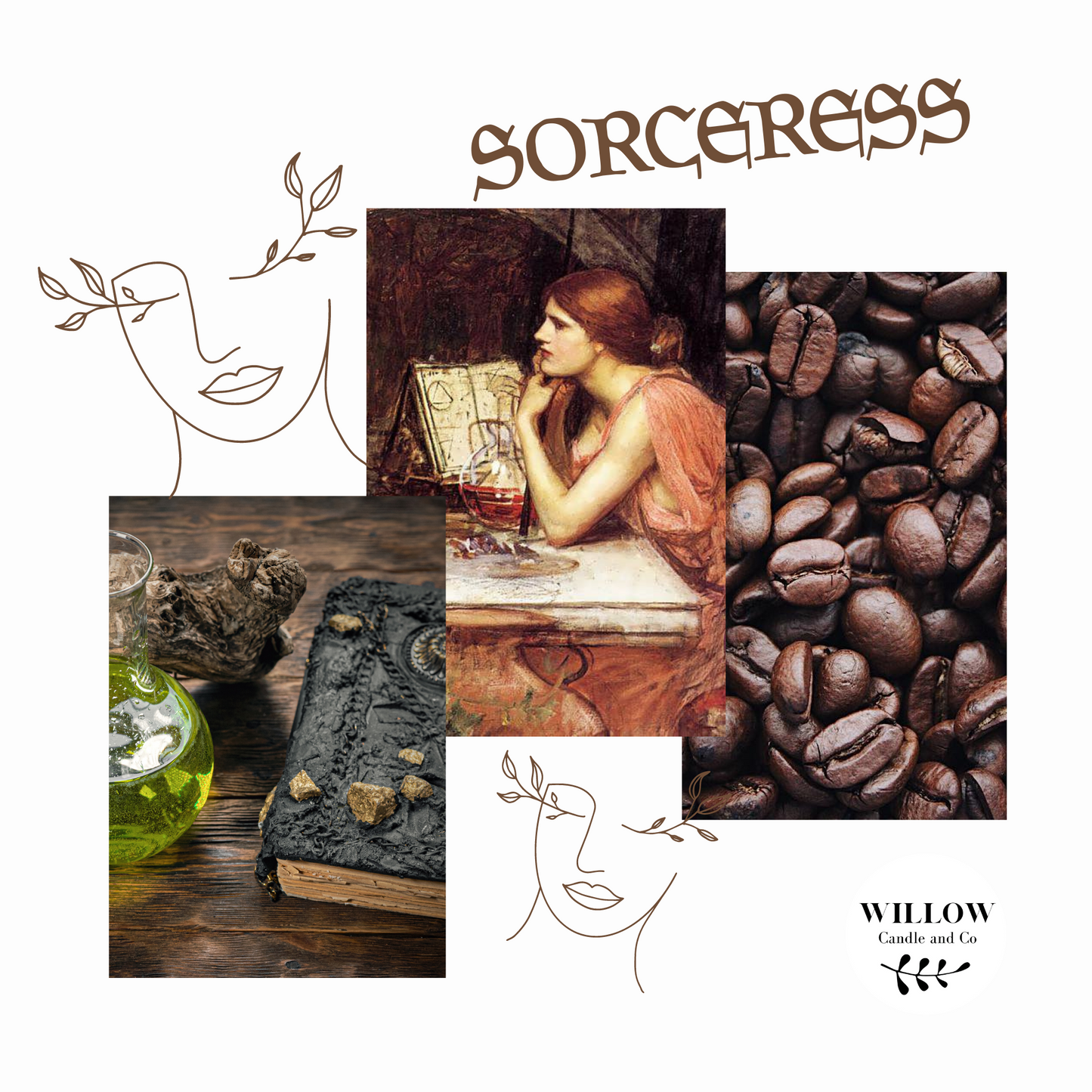 SORCERESS - Café, lait d'amande, tonka
