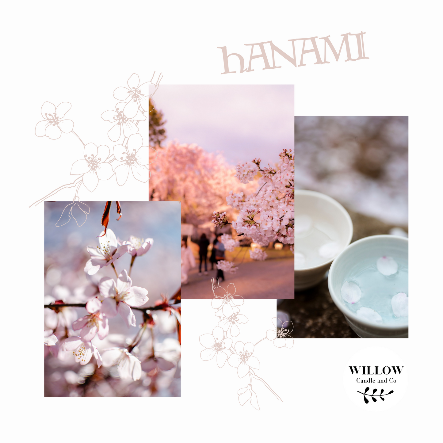 Bougie parfumée hanami, sakura, fleurs de cerisier, bois de santal, hanami, tradition japonaise, printemps, fleurs
