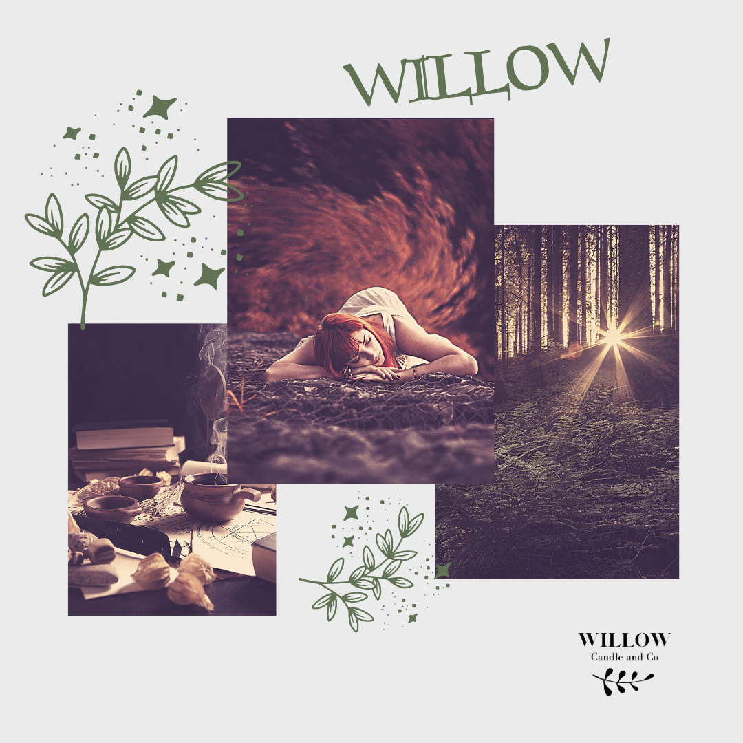 WILLOW - Black tea, orange, cinnamon