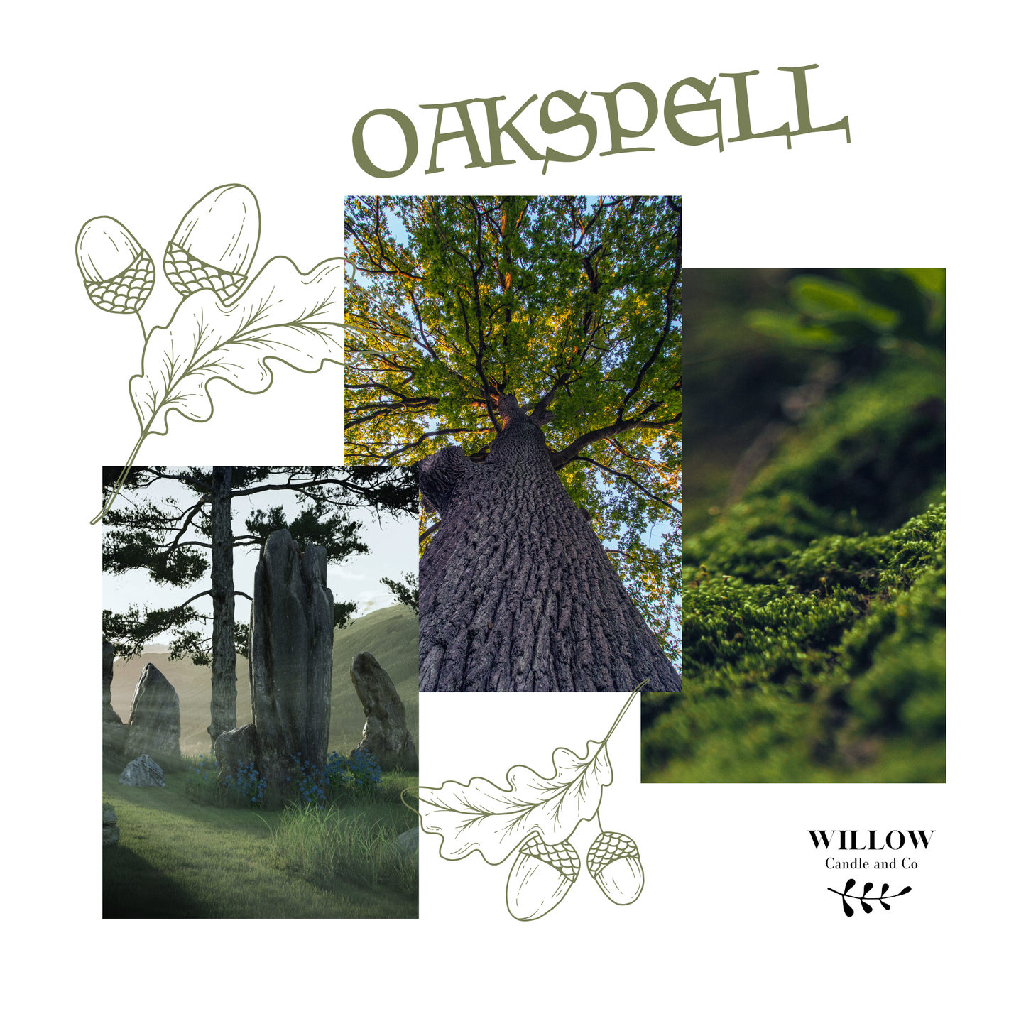 OAKSPELL - Myrrhe, mousse de chêne et patchouli