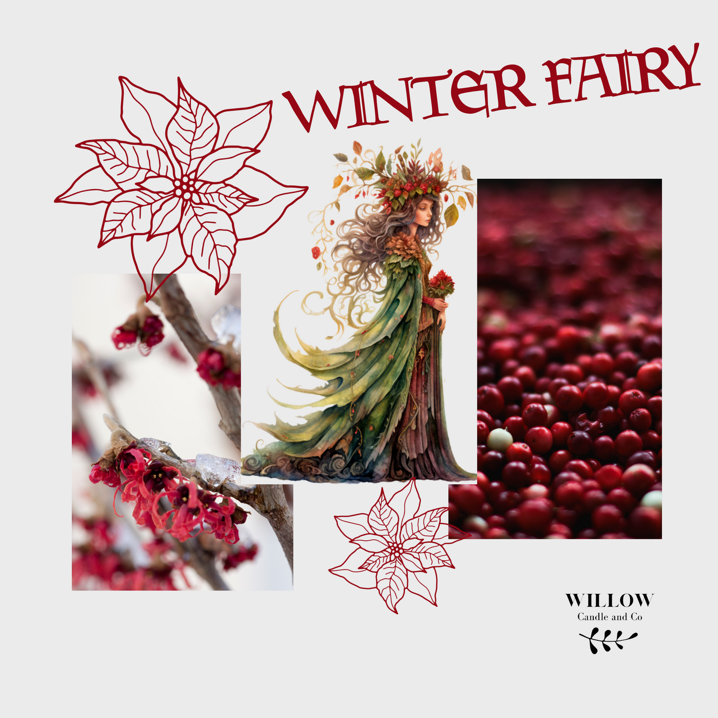 WINTER FAIRY - Canneberge (cranberry), barbe à papa, musc